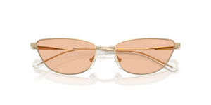 Shiny Pale Gold / Brown (301393)