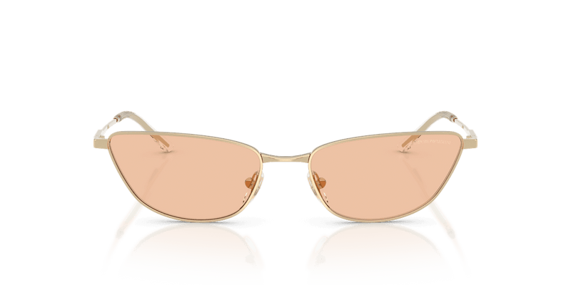 Emporio Armani EA2174B in Shiny Pale Gold / Brown (301393) - Alternate View