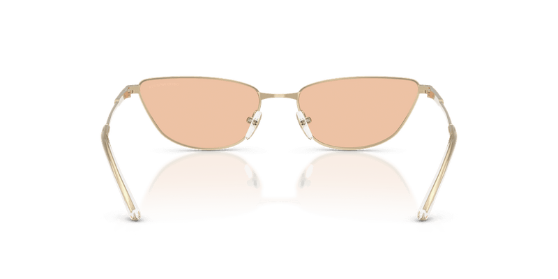 Emporio Armani EA2174B in Shiny Pale Gold / Brown (301393) - Alternate View