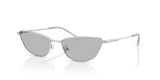 Shiny Silver / Light Grey (301587)