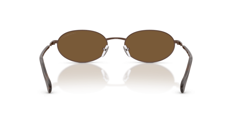 Emporio Armani EA2175 in Matte Bronze / Brown (300693) - Alternate View