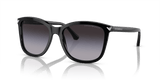 Shiny Black / Gradient Grey