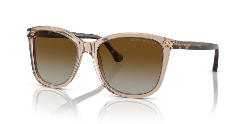Emporio Armani EA4060 in Transparent Tundra / Gradient Brown Polarized - Alternate View