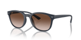 Matte Blue / Gradient Brown (508813)