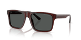 Transparent Brown / Smoke
