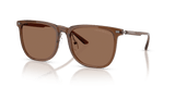 Shiny Transparent Brown / Dark Brown