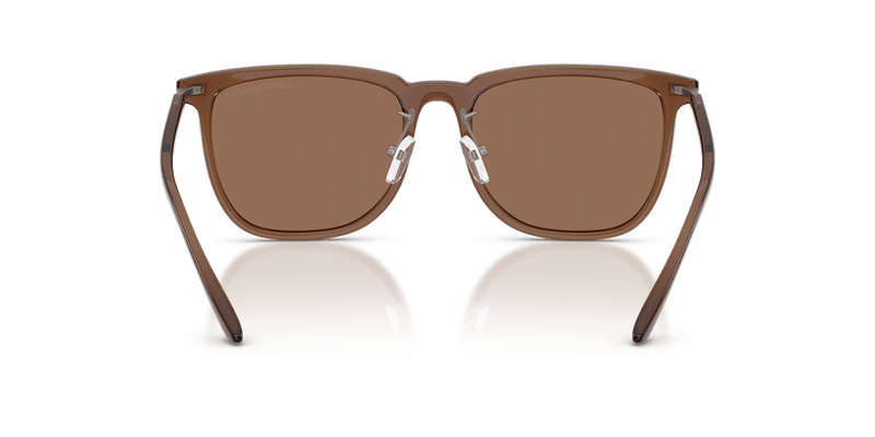 Emporio Armani EA4255D in Shiny Transparent Brown / Dark Brown - Alternate View