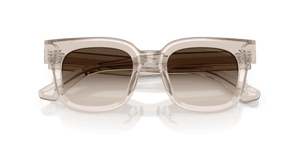 Shiny Transparent Tundra / Light Brown Gradient Grey (63630A)