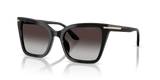 Shiny Black / Grey Gradient (50178G)
