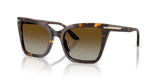 Shiny Havana / Brown Gradient Polarized (5026T5)