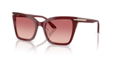 Shiny Bordeaux / Pink Gradient Red (6377A5)