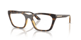 Shiny Havana / Clear (50261W)