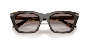 Shiny Havana / Clear (50261W)