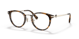Dark Tortoise (5120)
