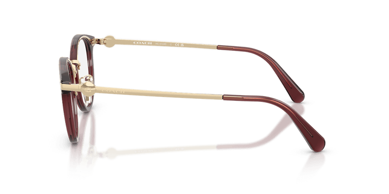 Coach HC5133D in Transparent Mauve (5677) - Temple Detail