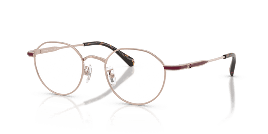 Coach HC5173TD - Vintage Rose Gold (9482)