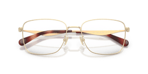 Satin Light Gold (9005)