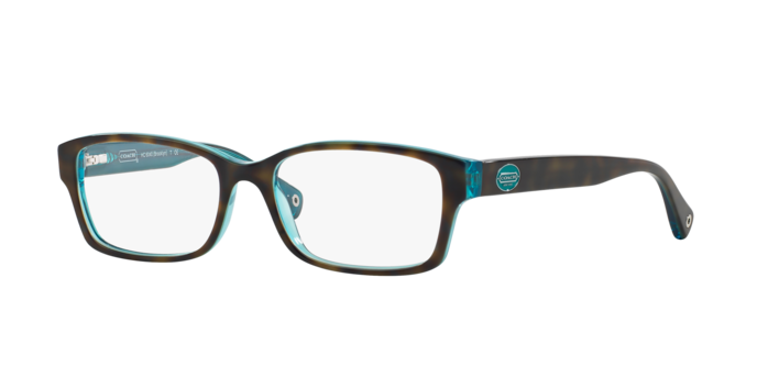 Coach BROOKLYN HC6040 in Dark Tortoise / Demo Lens - Front View
