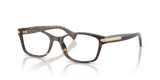 Dark Tortoise / Demo Lens