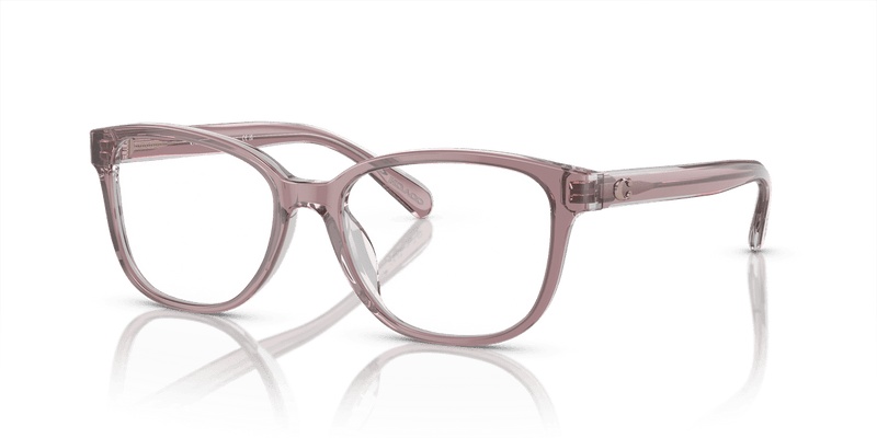 Coach HC6224U in Transparent Rose/Blush / Demo Lens - Alternate View