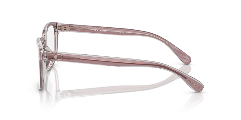 Coach HC6224U in Transparent Rose/Blush / Demo Lens - Alternate View