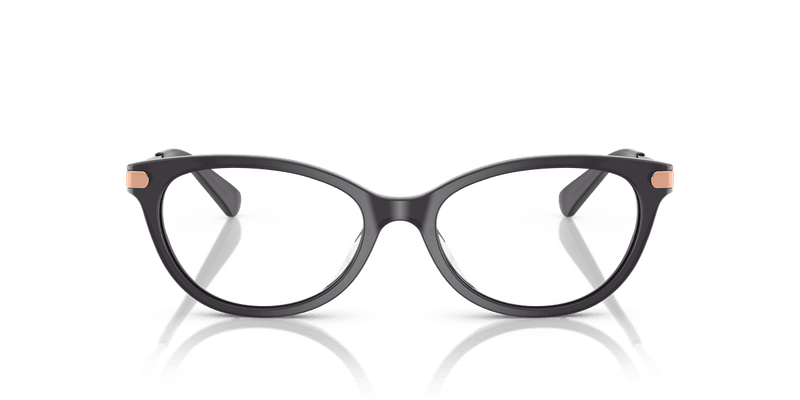 Coach HC6245U in Transparent Dark Grey / Demo Lens - Temple Detail