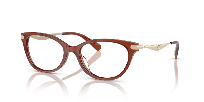 Coach HC6245U in Transparent Brown / Demo Lens - Alternate View