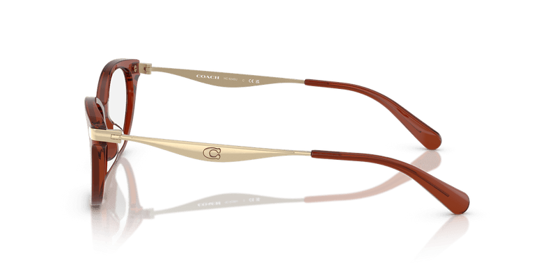 Coach HC6245U in Transparent Brown / Demo Lens - Alternate View