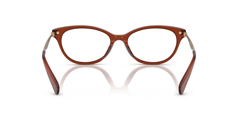 Coach HC6245U in Transparent Brown / Demo Lens - Alternate View