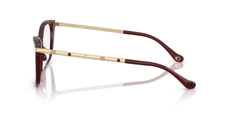 Coach HC6261BU in Milky Burgundy / Demo Lens - Alternate View