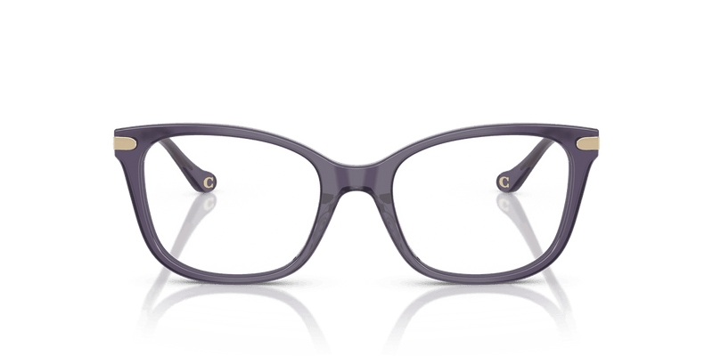 Coach HC6261BU in Milky Eggplant / Demo Lens - Temple Detail