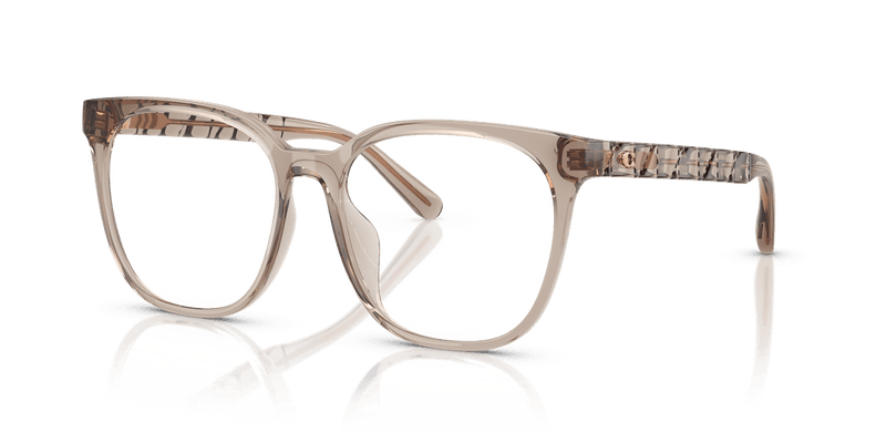 Coach HC6267D in Transparent Khaki / Demo Lens - Front View