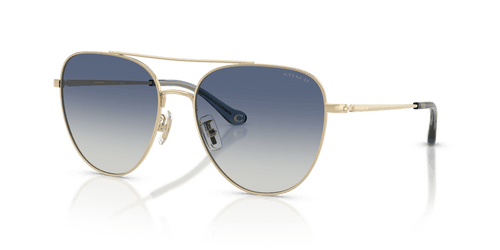 Shiny Light Gold / Blue Gradient (90054L)