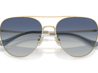 Shiny Light Gold / Blue Gradient (90054L)