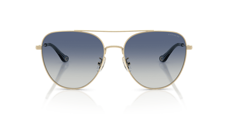 Shiny Light Gold / Blue Gradient (90054L)-variant-image