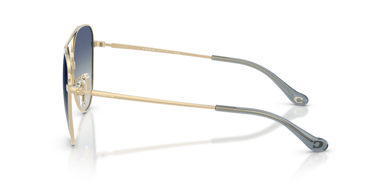 Shiny Light Gold / Blue Gradient (90054L)-variant-image