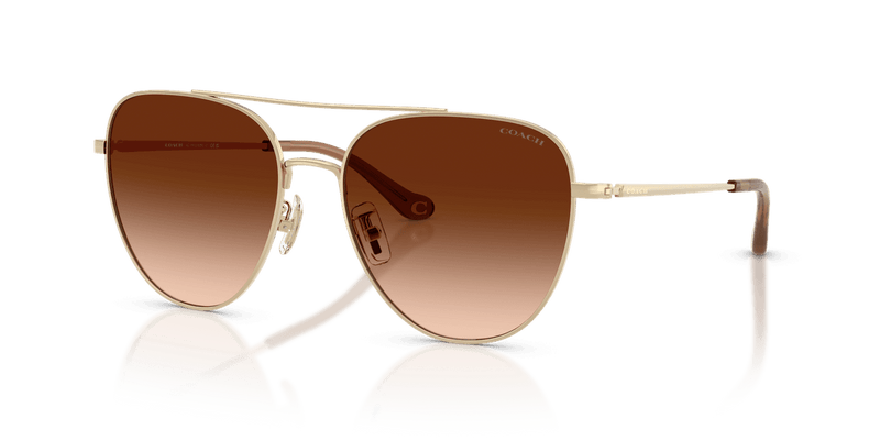 Shiny Light Gold / Brown Gradient (900574)