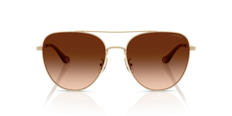 Shiny Light Gold / Brown Gradient (900574)-variant-image