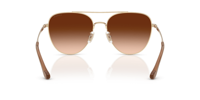 Shiny Light Gold / Brown Gradient (900574)-variant-image