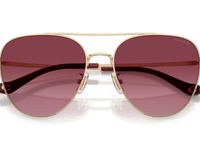 Shiny Light Gold / Merlot Gradient (90058H)