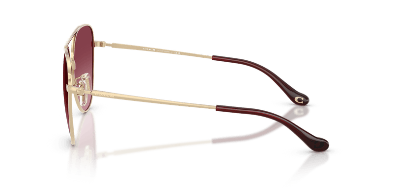 Shiny Light Gold / Merlot Gradient (90058H)-variant-image