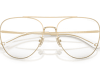 Shiny Light Gold / Clear Blue-Violet Light Filter (9005SB)