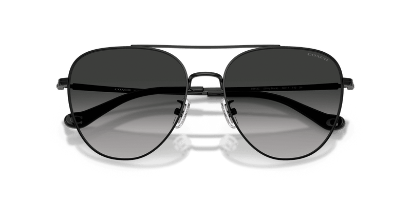 Shiny Black / Grey Gradient (93443C)-swatch