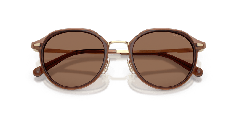 Satin Light Gold / Brown Solid (947473)-swatch