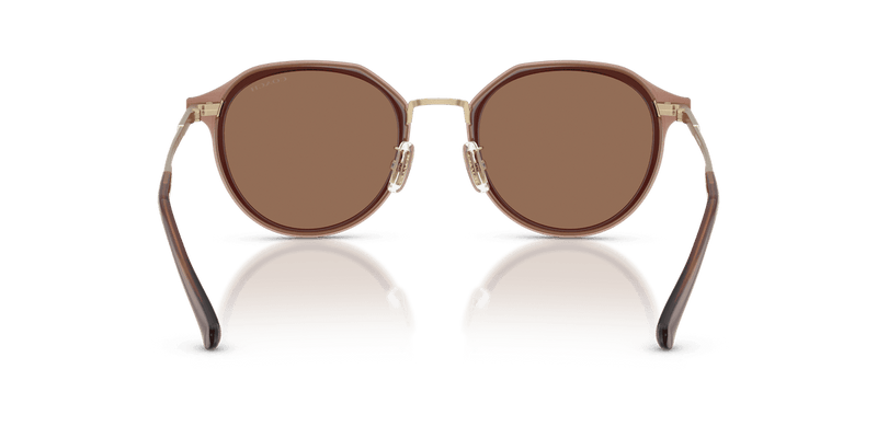 Satin Light Gold / Brown Solid (947473)-variant-image