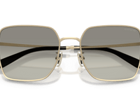 Shiny Light Gold/Black / Grey Gradient (94643C)