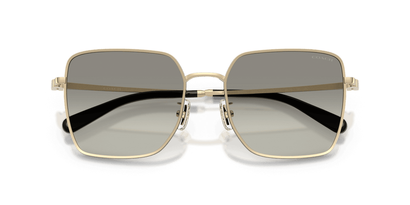 Shiny Light Gold/Black / Grey Gradient (94643C)-swatch