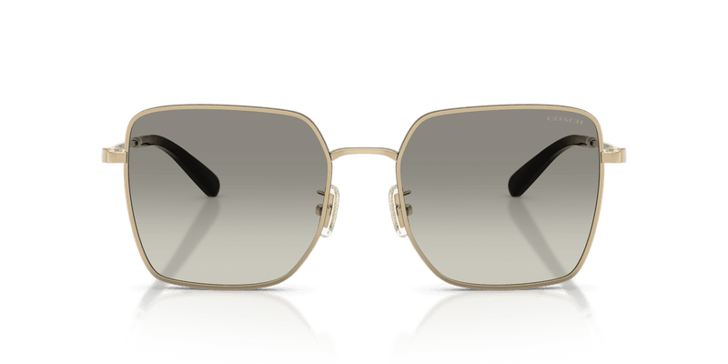 Shiny Light Gold/Black / Grey Gradient (94643C)-variant-image