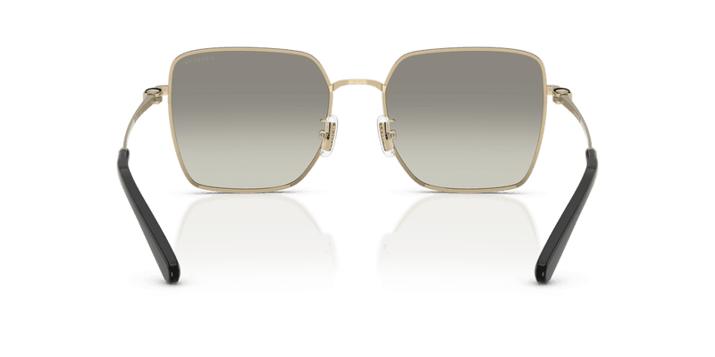 Shiny Light Gold/Black / Grey Gradient (94643C)-variant-image