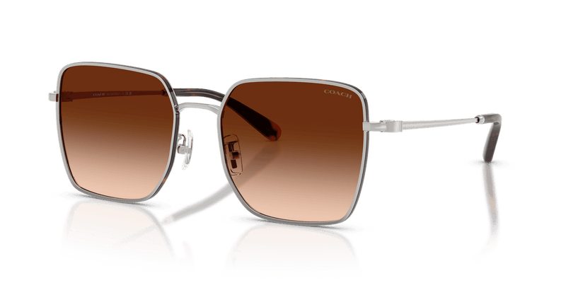 Silver/Dark Tortoise / Brown Gradient (94775M)